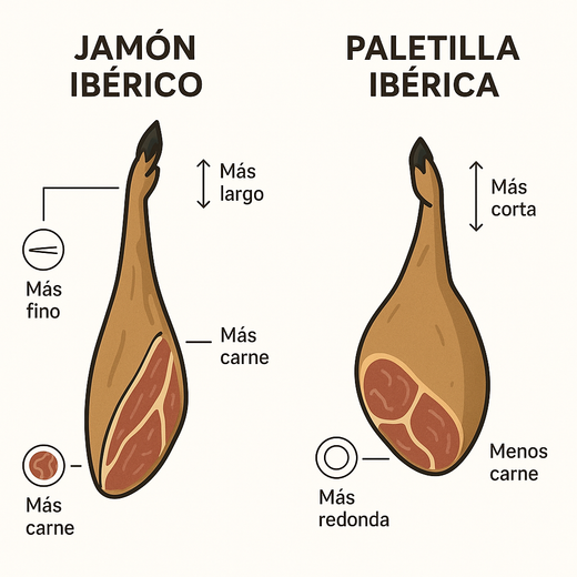 Diferencia entre jamón y paletilla: claves para elegir sabiamente